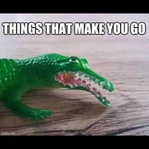 Meet your Posher, Barbara